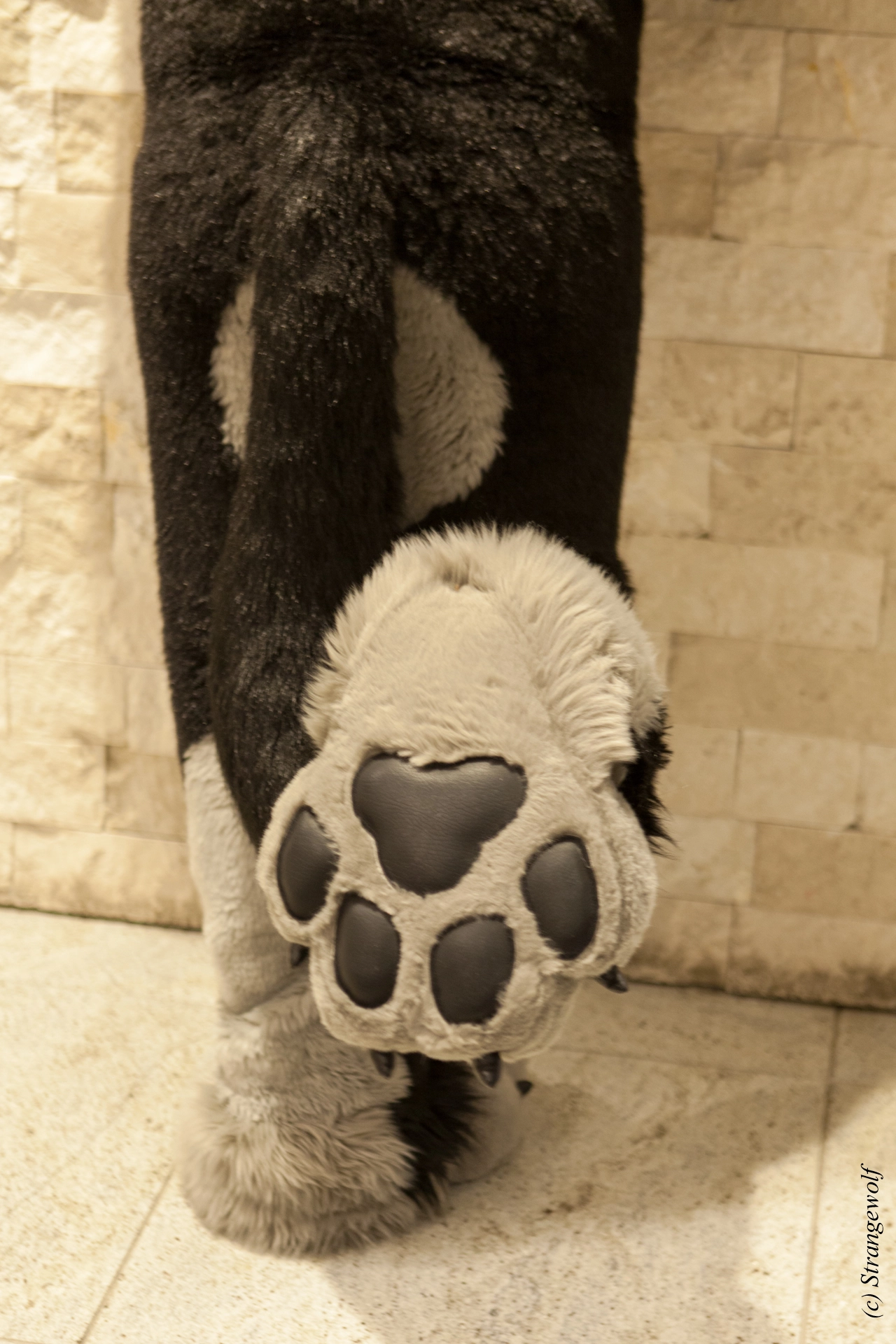full image IMG_1708-lr19t.jpg