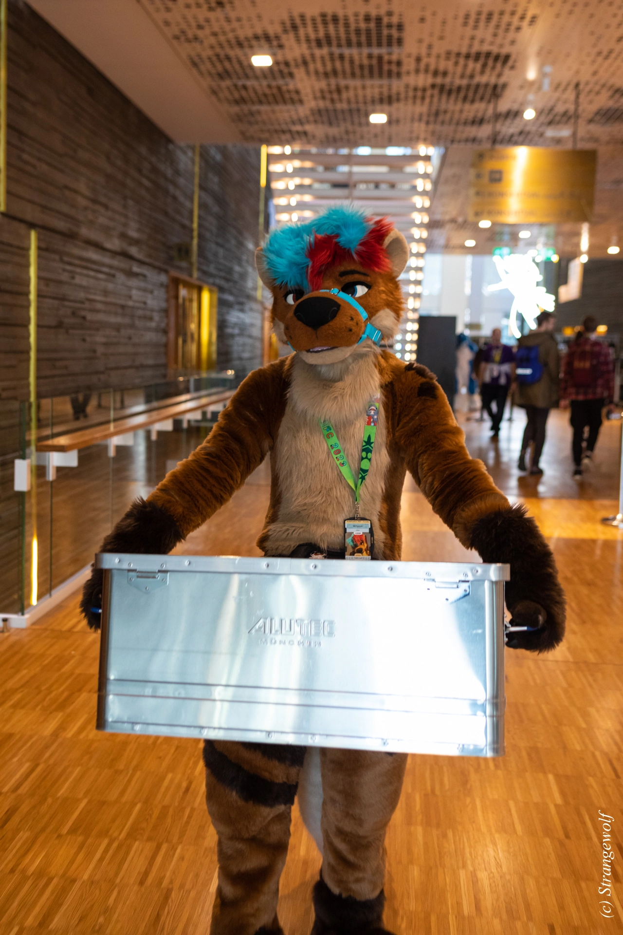 full image 1R3A9863-lr19t.jpg