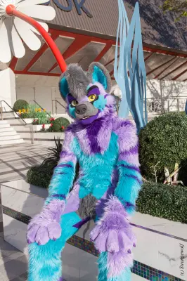 IMG_3167-lr19t.jpg of BLFC/2019/