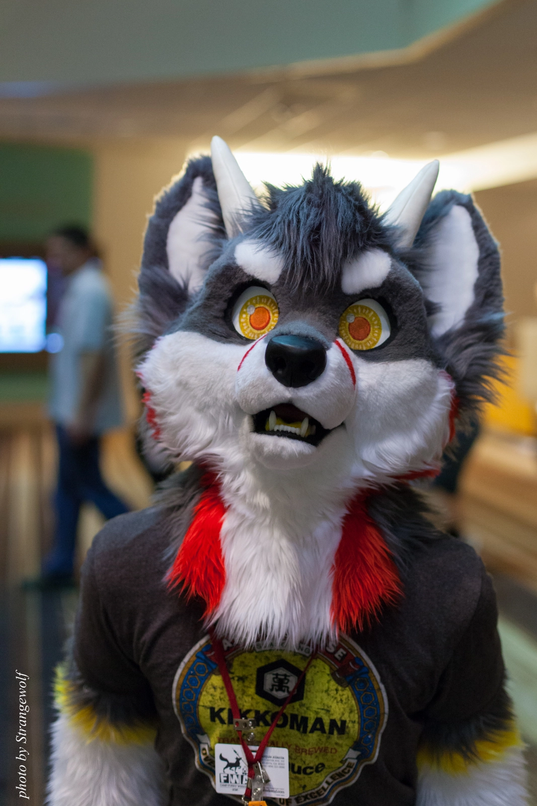 full image IMG_5755-lr16t.jpg