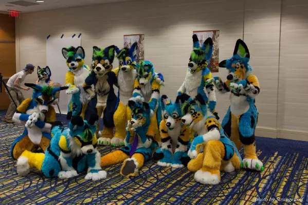 IMG_7812-lr16t.jpg of FWA/FWA2015/