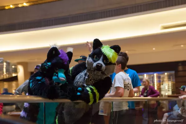 IMG_7658-lr16t.jpg of FWA/FWA2015/