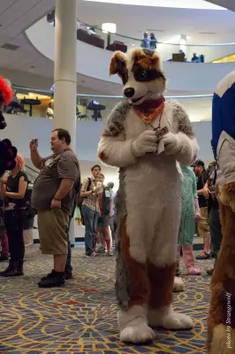IMG_7469-lr16t.jpg of FWA/FWA2015/