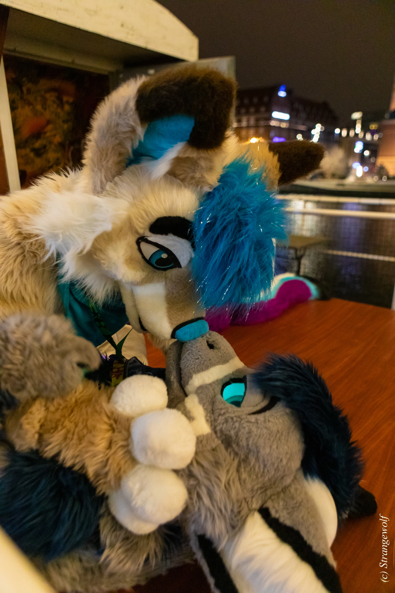 full image 1R3A9194-lr19t.jpg