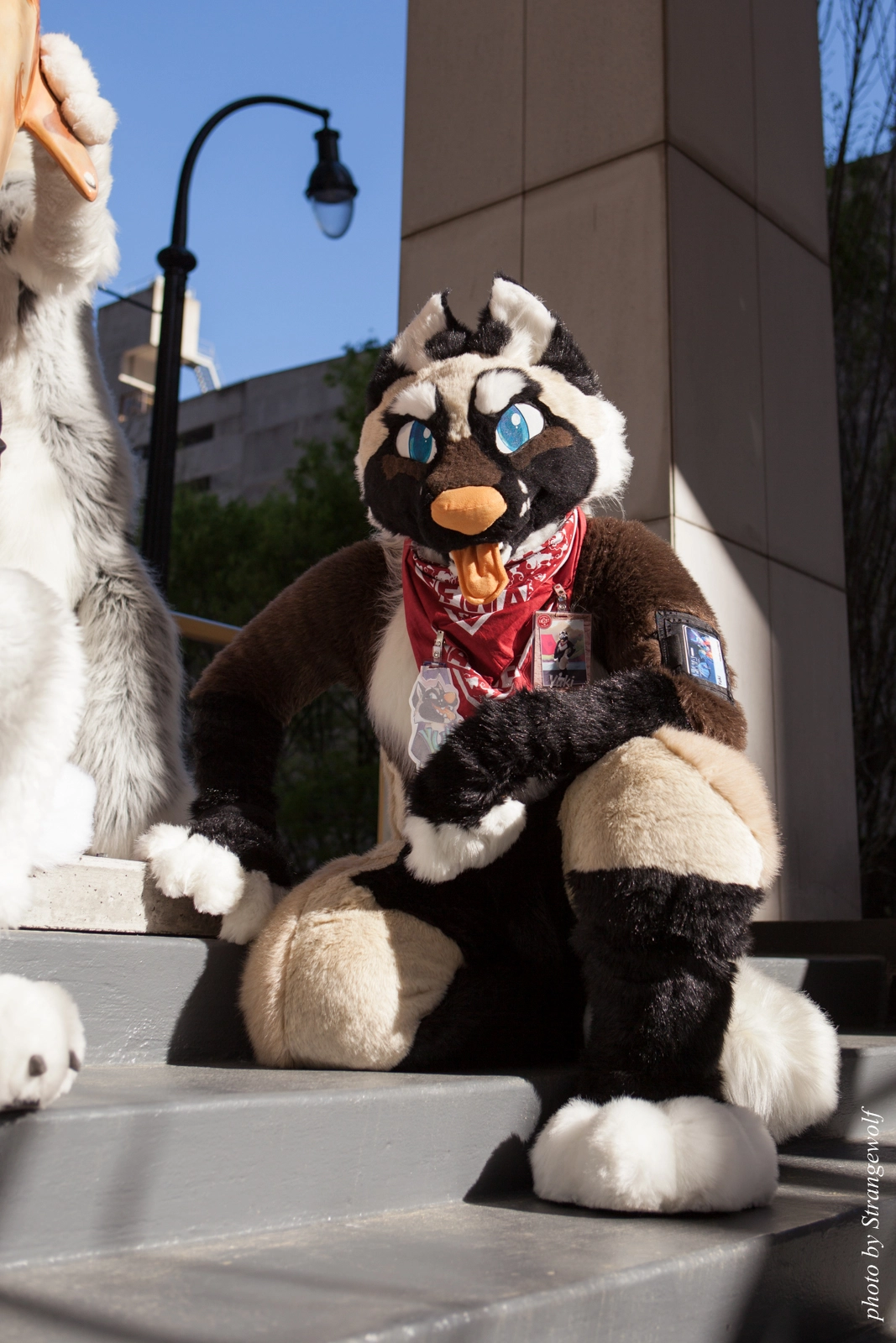 full image IMG_6184-lr16t.jpg