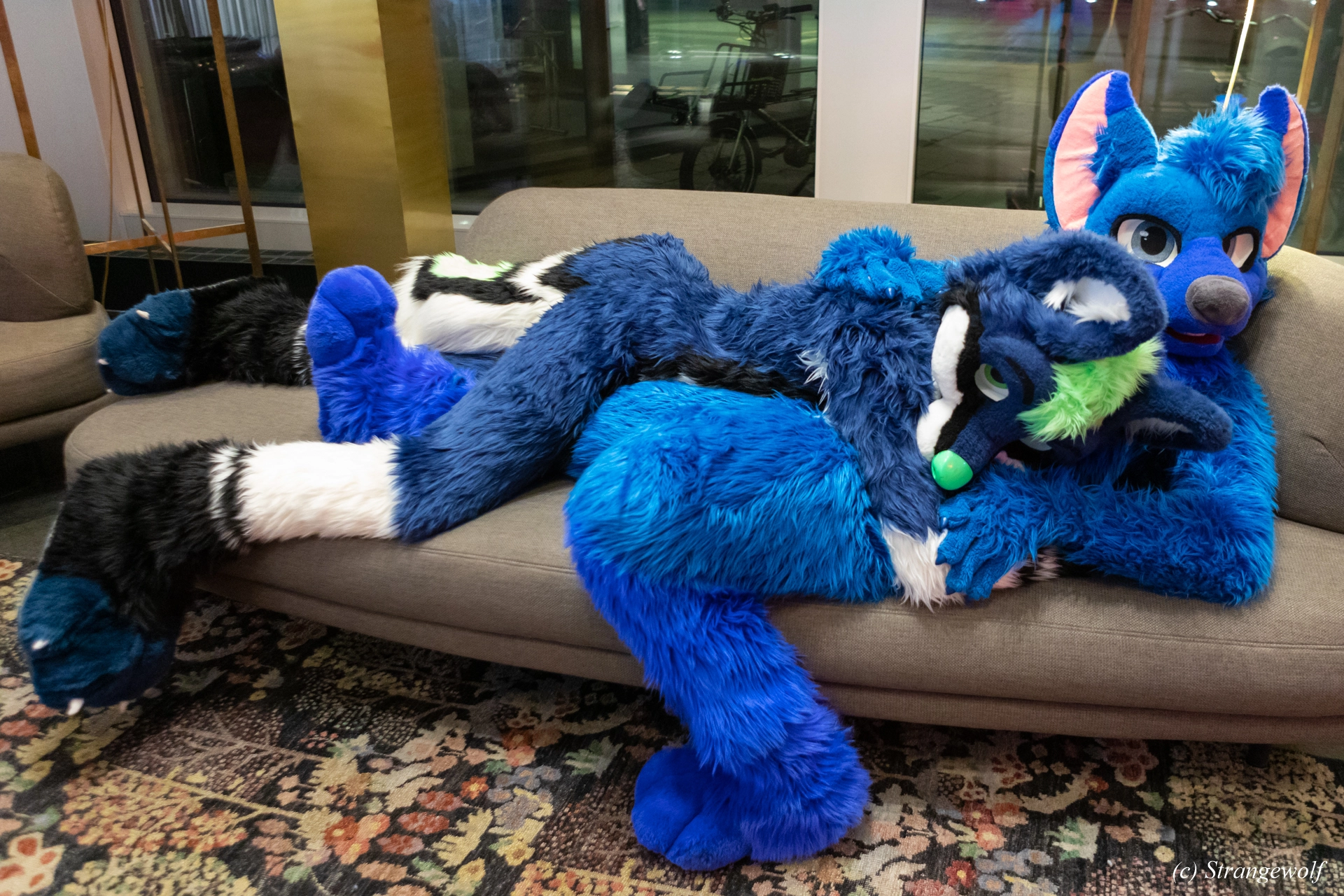 full image 1R3A9388-lr19t.jpg