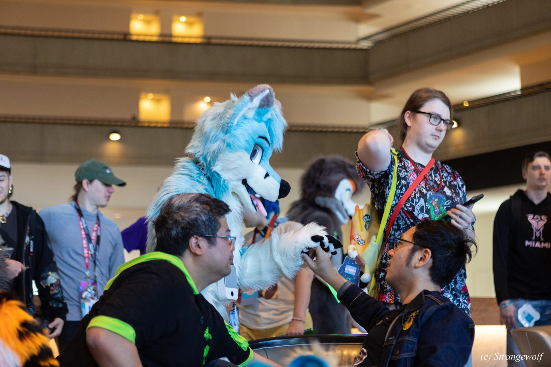 full image 1R3A4148-lr19t.jpg