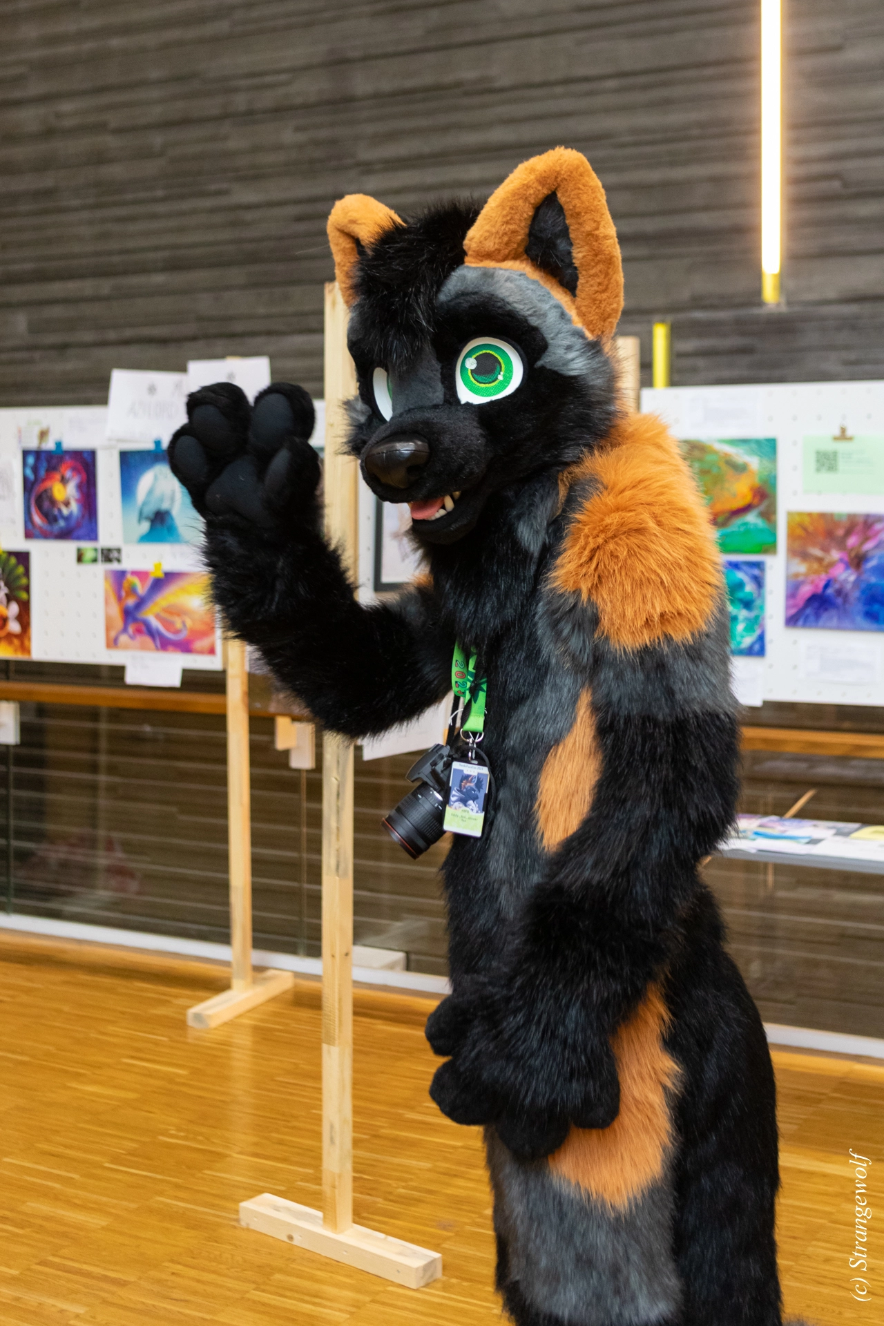 full image 1R3A9430-lr19t.jpg