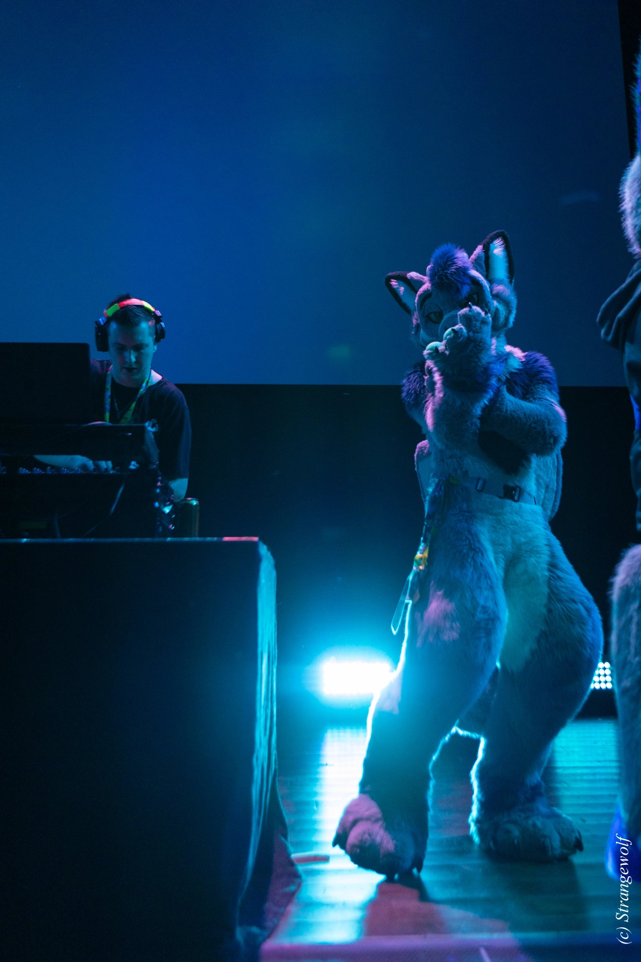 full image 1R3A9480-lr19t.jpg