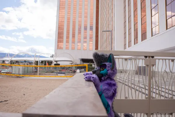 IMG_2857-lr19t.jpg of BLFC/2019/