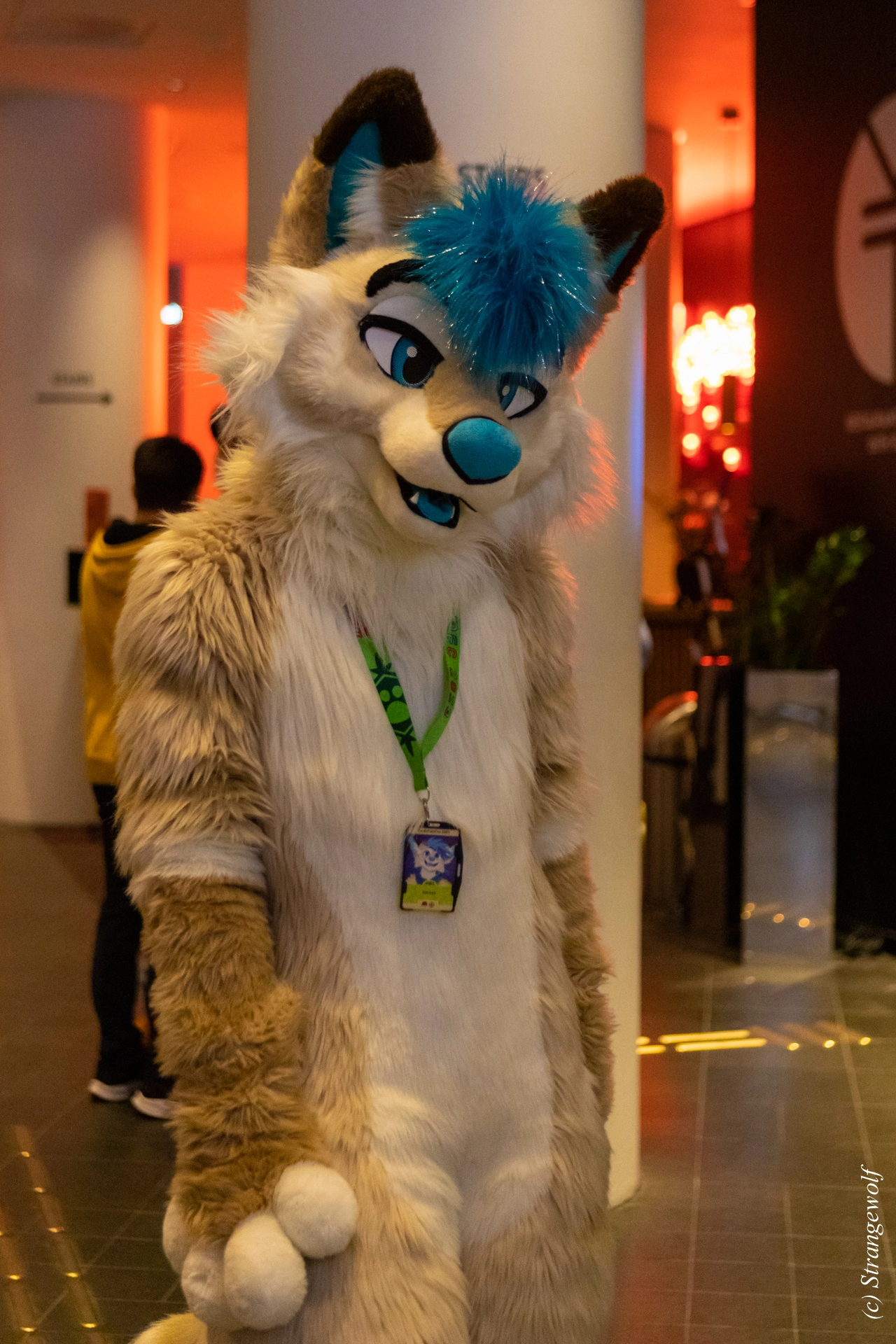 full image 1R3A9287-lr19t.jpg