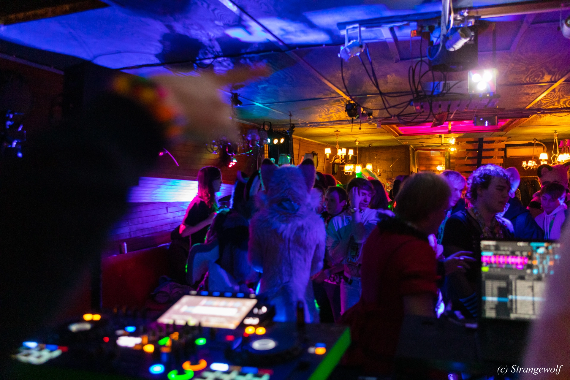 full image 1R3A9120-lr19t.jpg