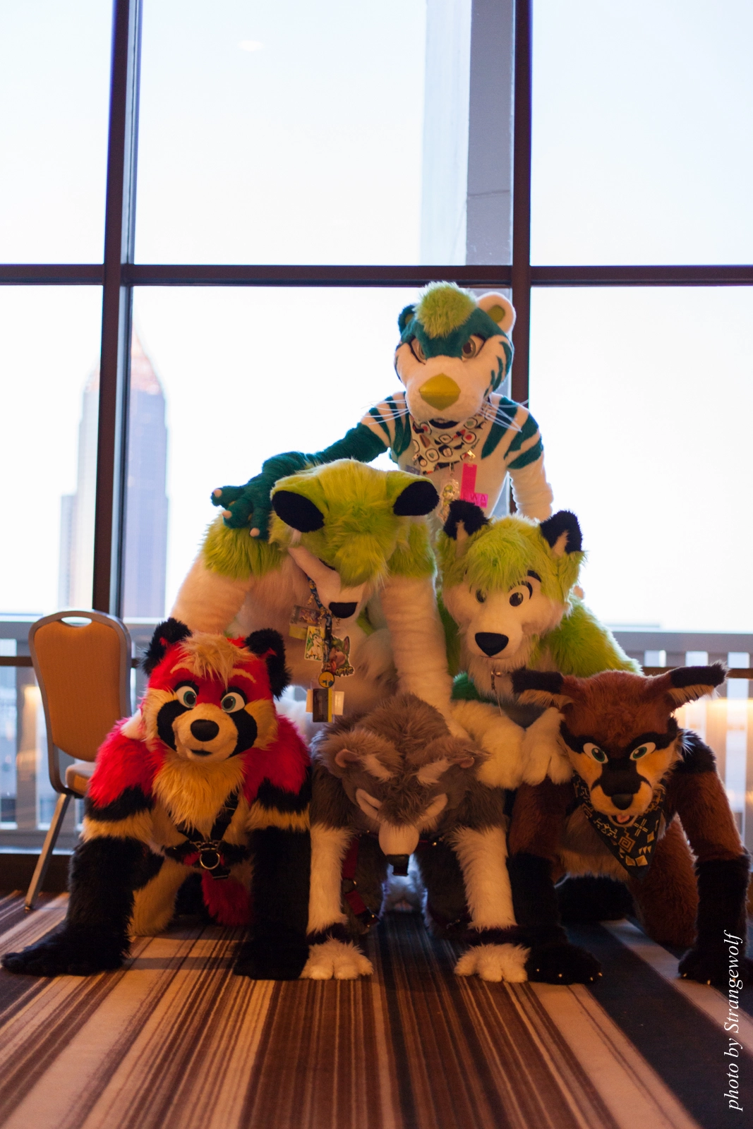 full image IMG_2949-lr16t.jpg