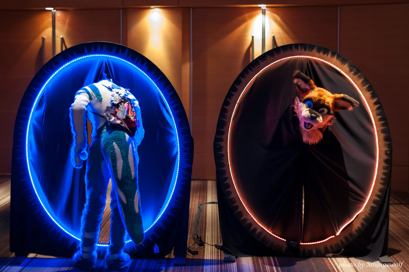 full image IMG_2734-lr16t.jpg