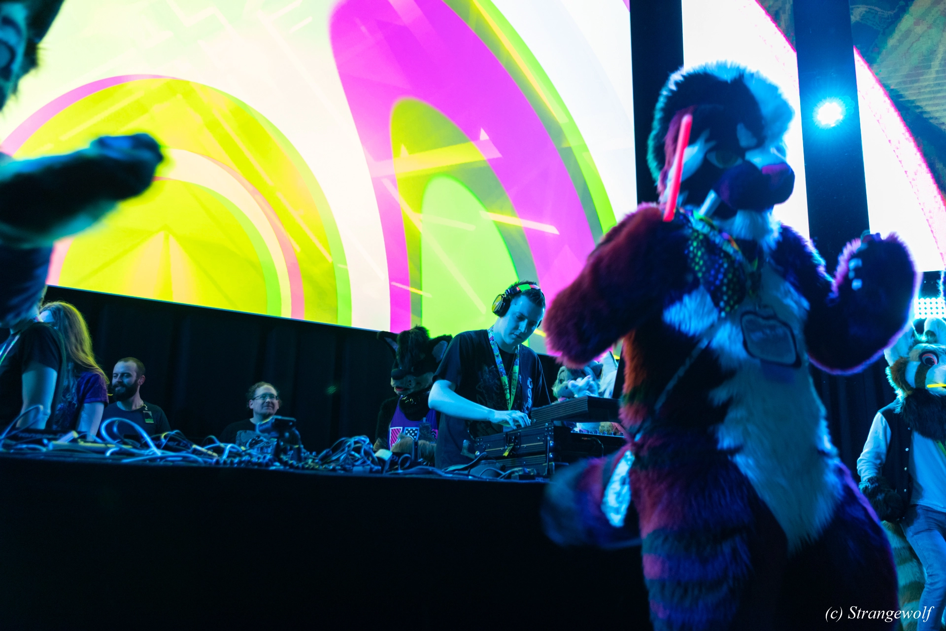 full image 1R3A9471-lr19t.jpg