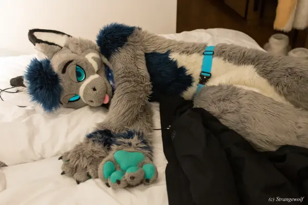 1R3A9461-lr19t.jpg of NFC/NFC2023/