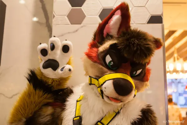 IMG_3185-lr19t.jpg of BLFC/2019/