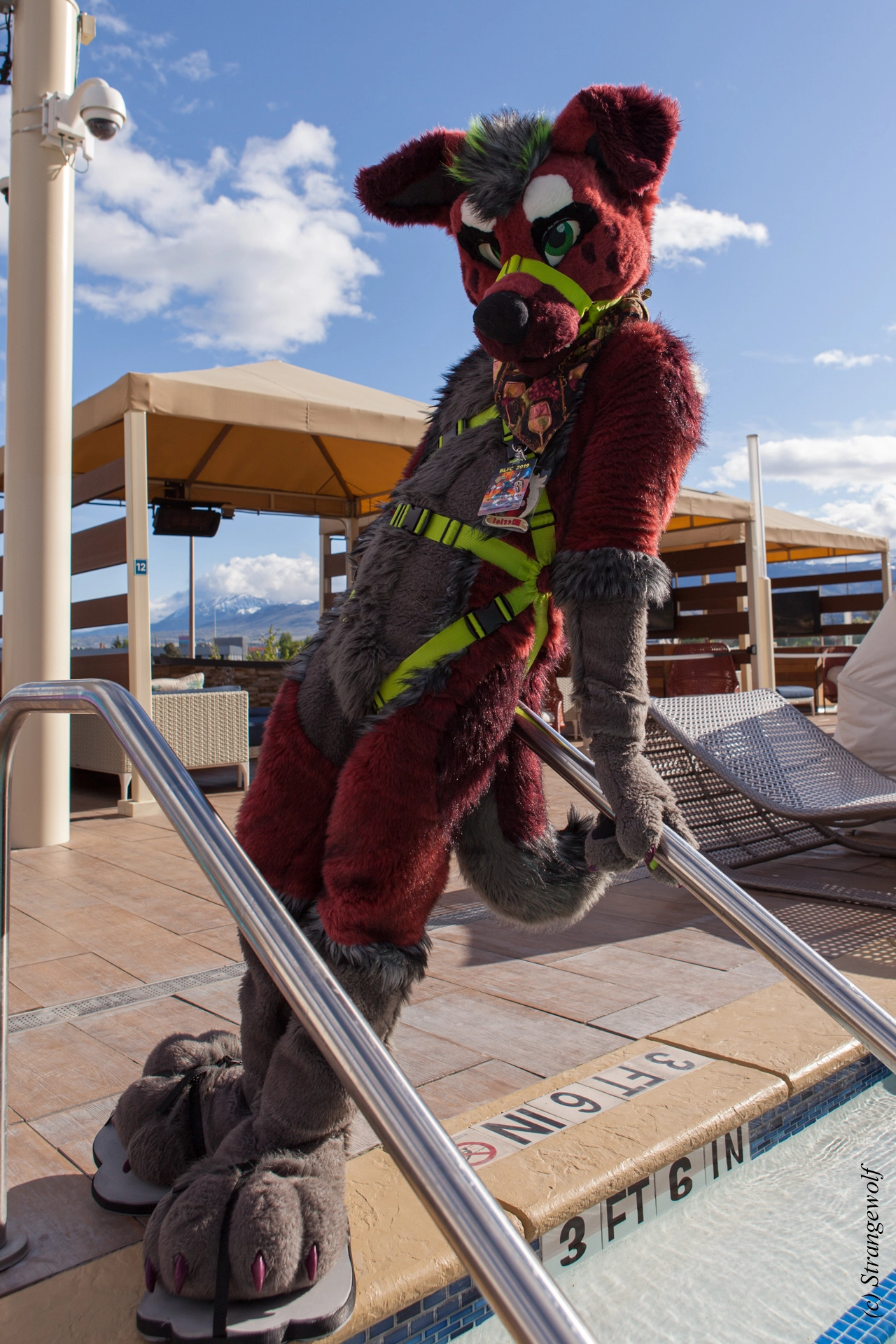 full image IMG_3049-lr19t.jpg