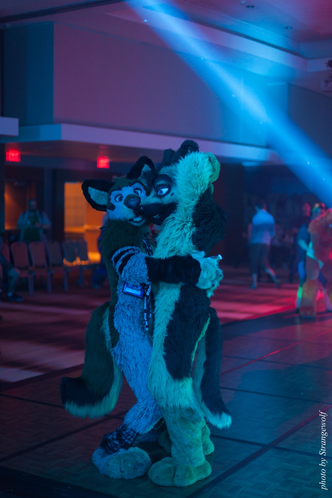 full image IMG_5920-lr16t.jpg
