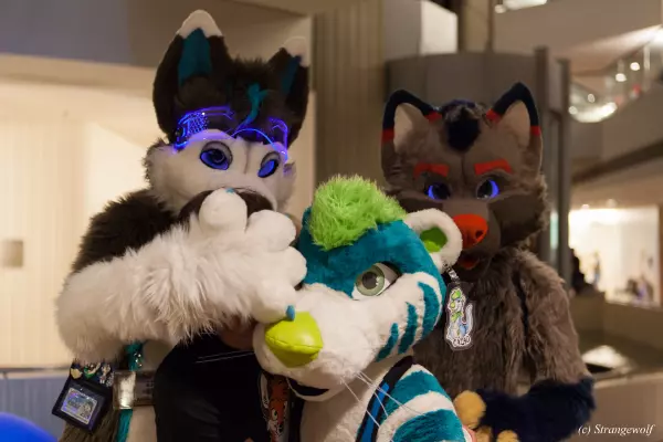 IMG_1663-lr19t.jpg of FWA/FWA2019/