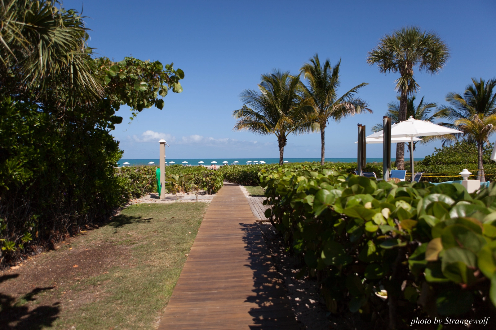 full image IMG_7344-lr16t.jpg