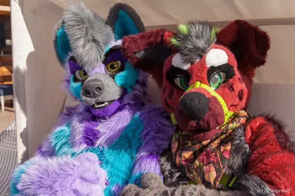 IMG_3036-lr19t.jpg of BLFC/2019/