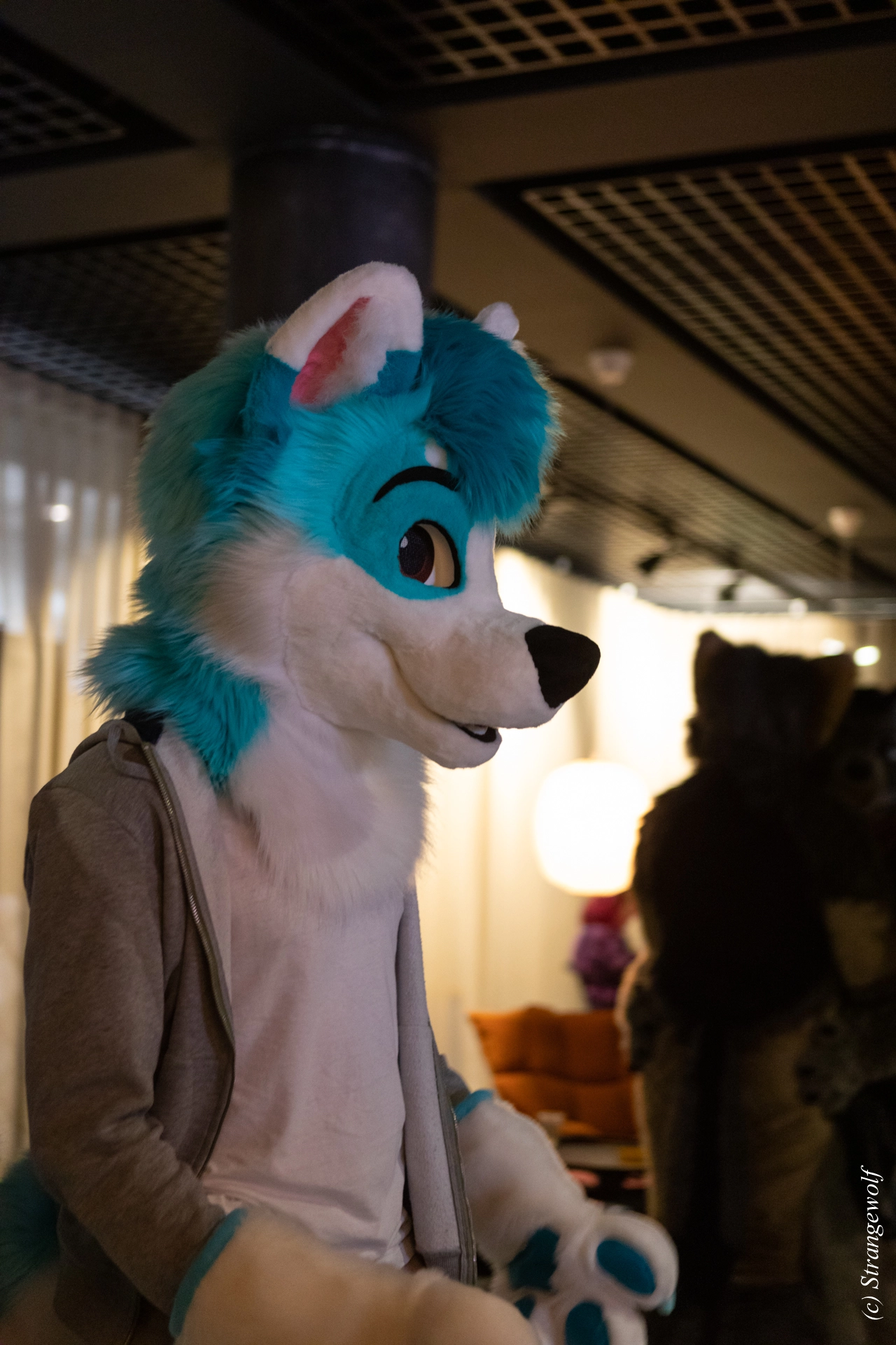 full image 1R3A9105-lr19t.jpg