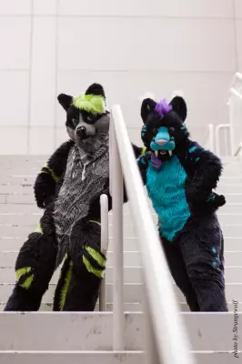 IMG_7702-lr16t.jpg of FWA/FWA2015/