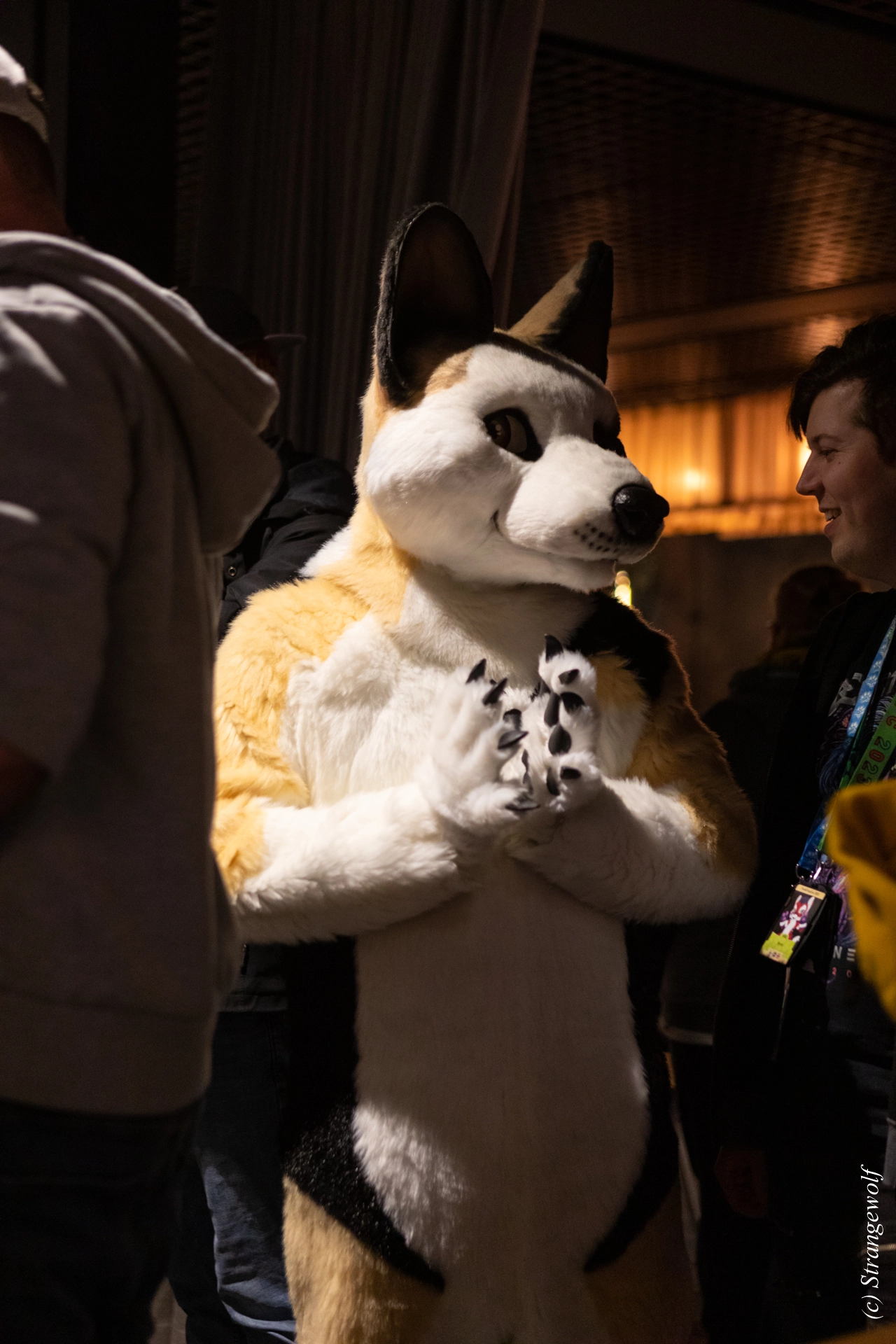 full image 1R3A9061-lr19t.jpg