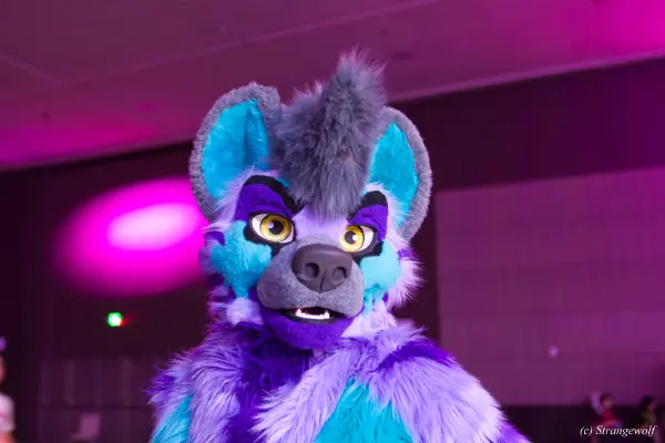 IMG_3300-lr19t.jpg of BLFC/2019/