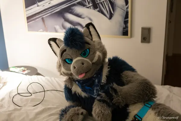 1R3A9458-lr19t.jpg of NFC/NFC2023/