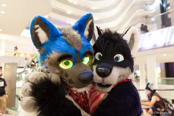 IMG_1735-lr19t.jpg of FWA/FWA2019/