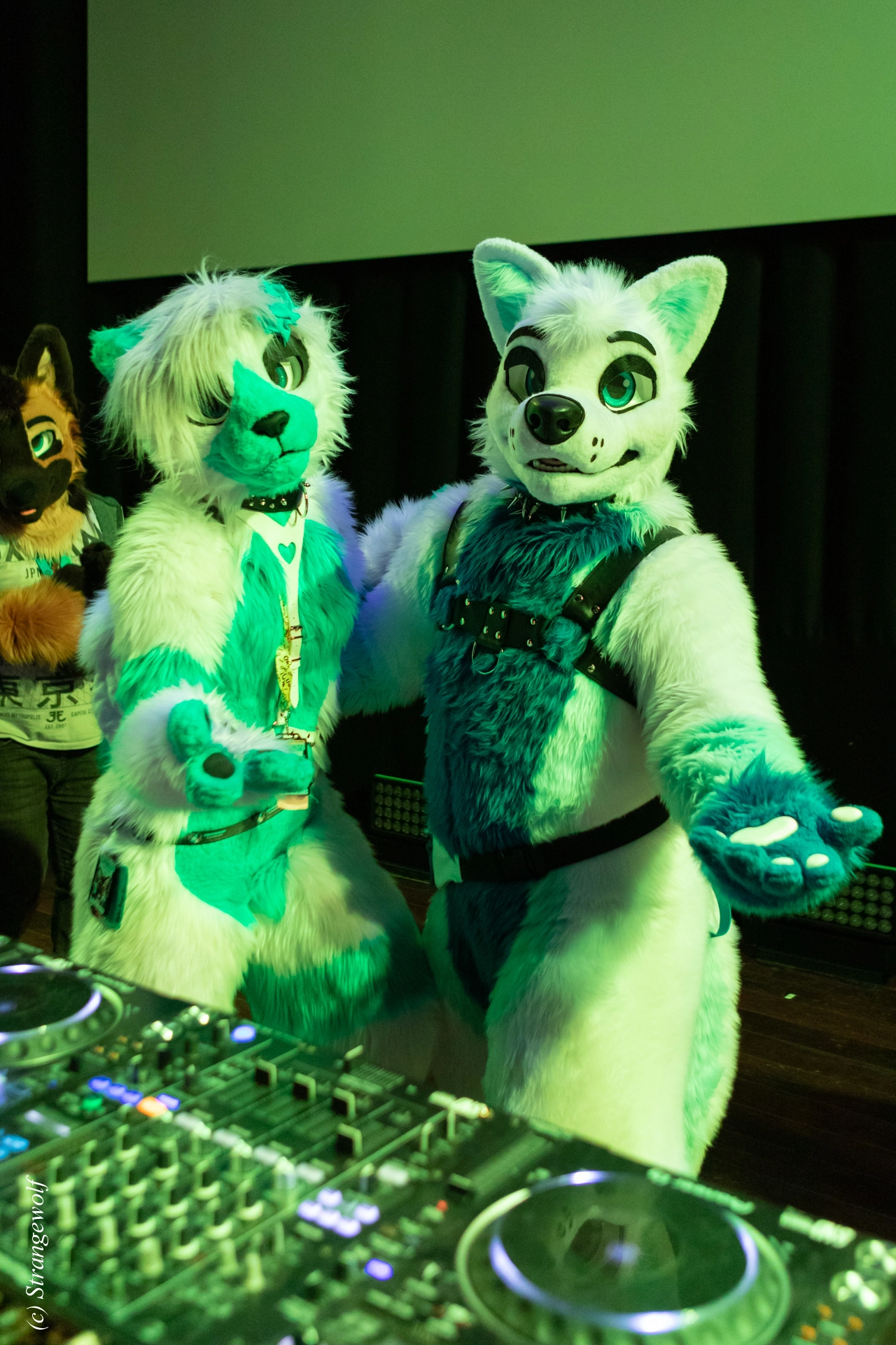 full image 1R3A9569-lr19t.jpg