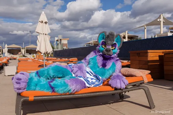 IMG_2960-lr19t.jpg of BLFC/2019/