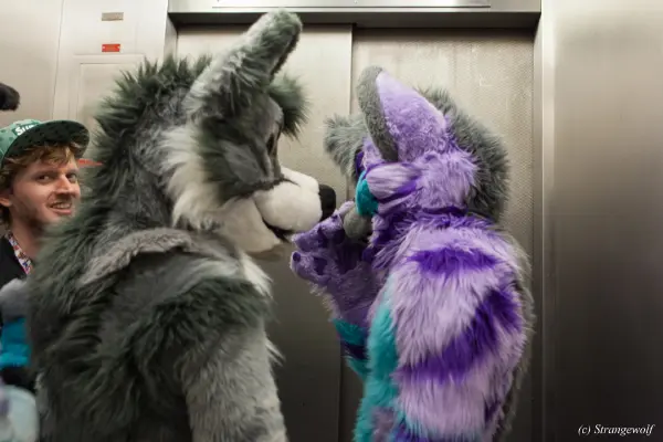 IMG_3214-lr19t.jpg of BLFC/2019/