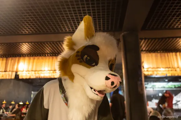 1R3A9961-lr19t.jpg of NFC/NFC2023/