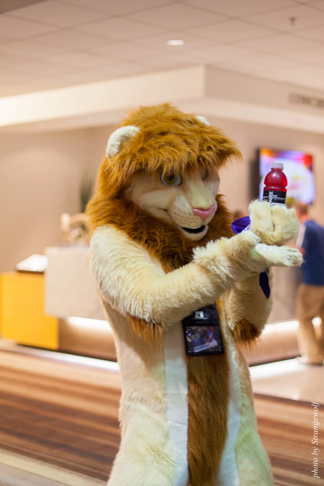 full image IMG_5719-lr16t.jpg