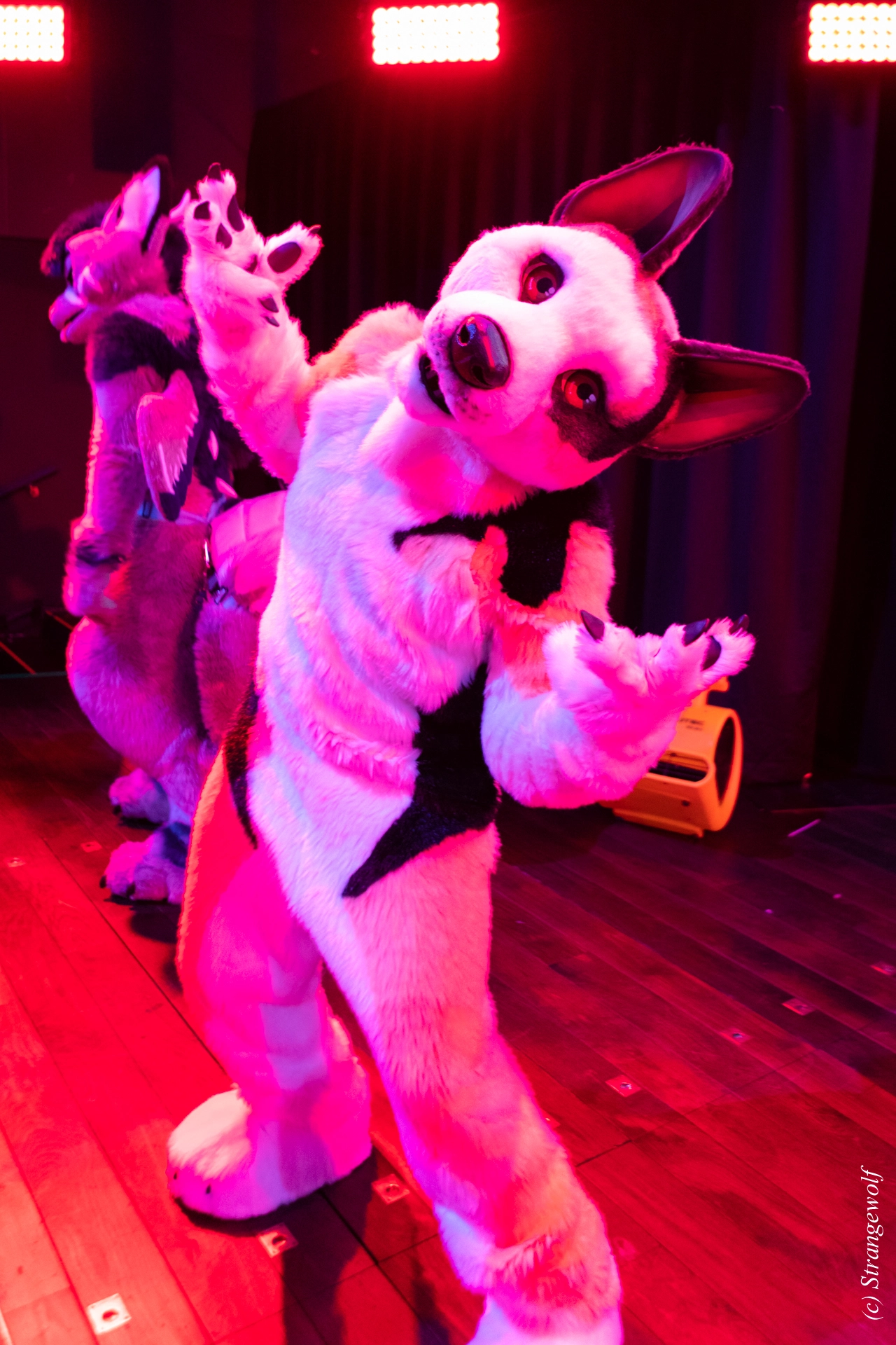 full image 1R3A9726-lr19t.jpg