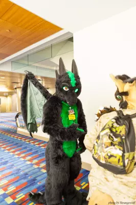 IMG_7738-lr16t.jpg of FWA/FWA2015/