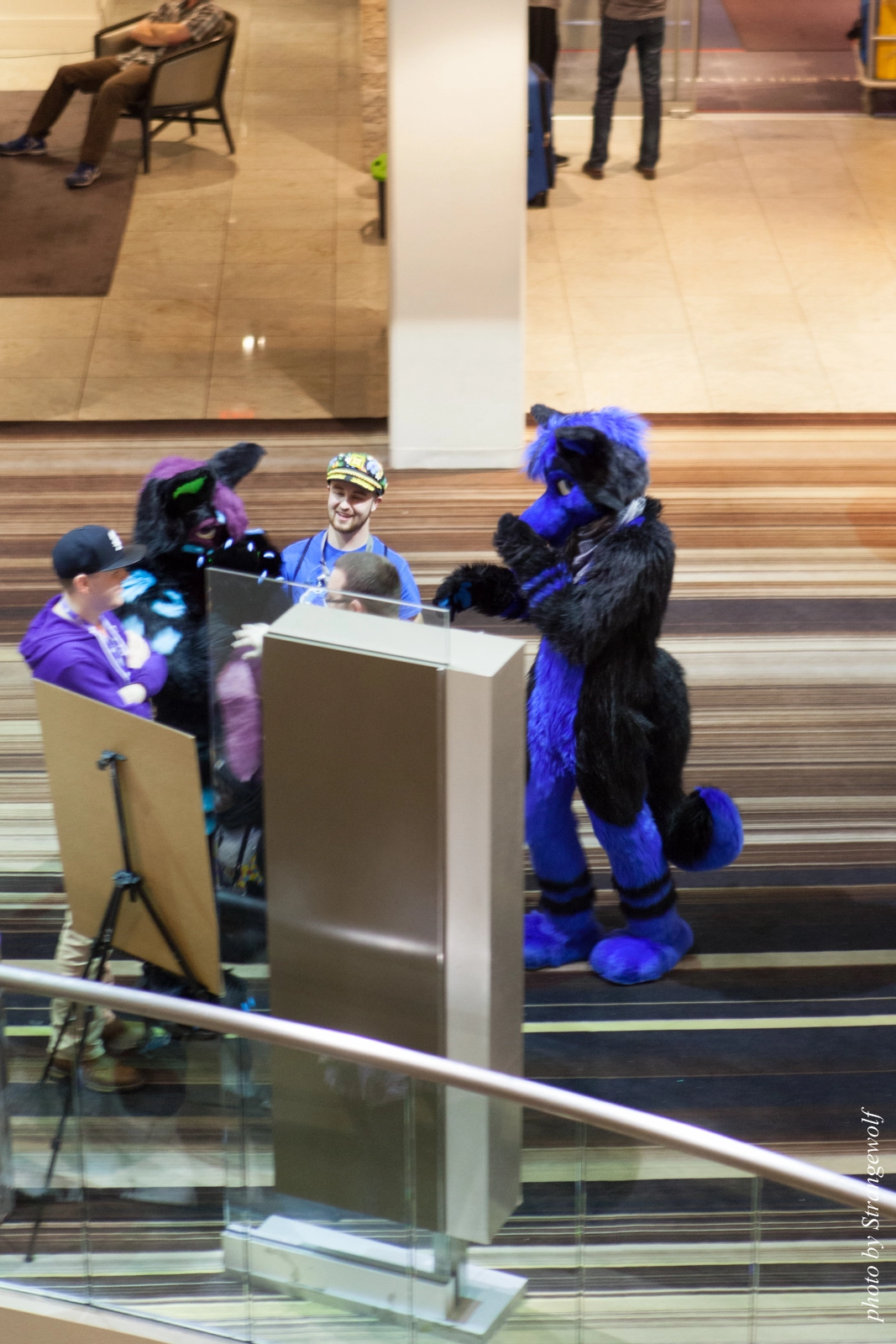 full image IMG_2690-lr16t.jpg