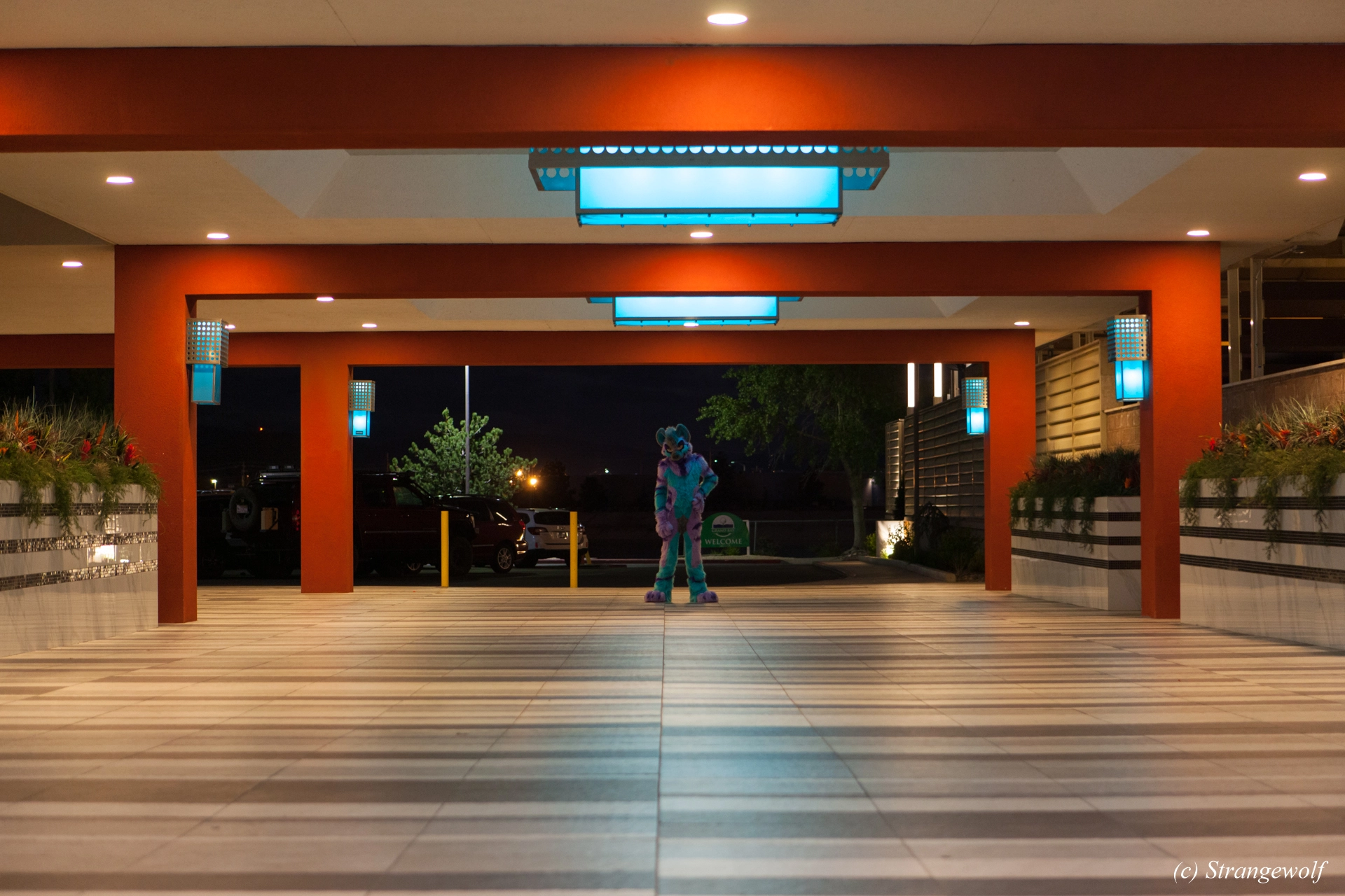 full image IMG_3537-lr19t.jpg