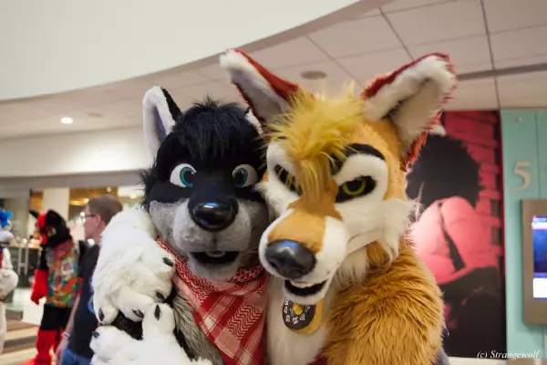 IMG_1722-lr19t.jpg of FWA/FWA2019/