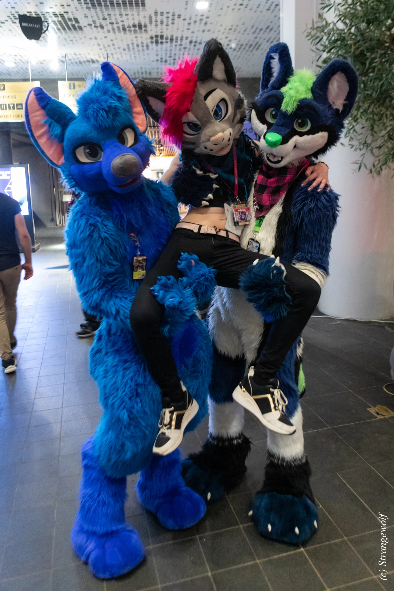 full image 1R3A9383-lr19t.jpg