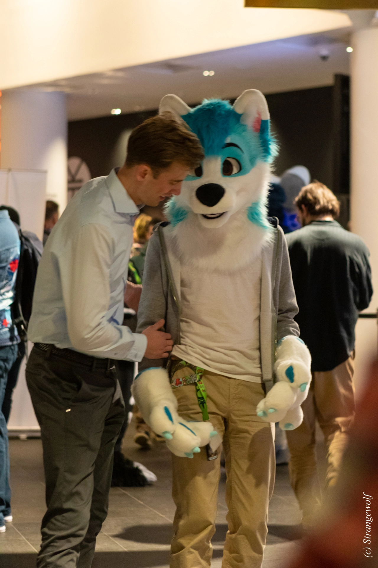 full image 1R3A9099-lr19t.jpg