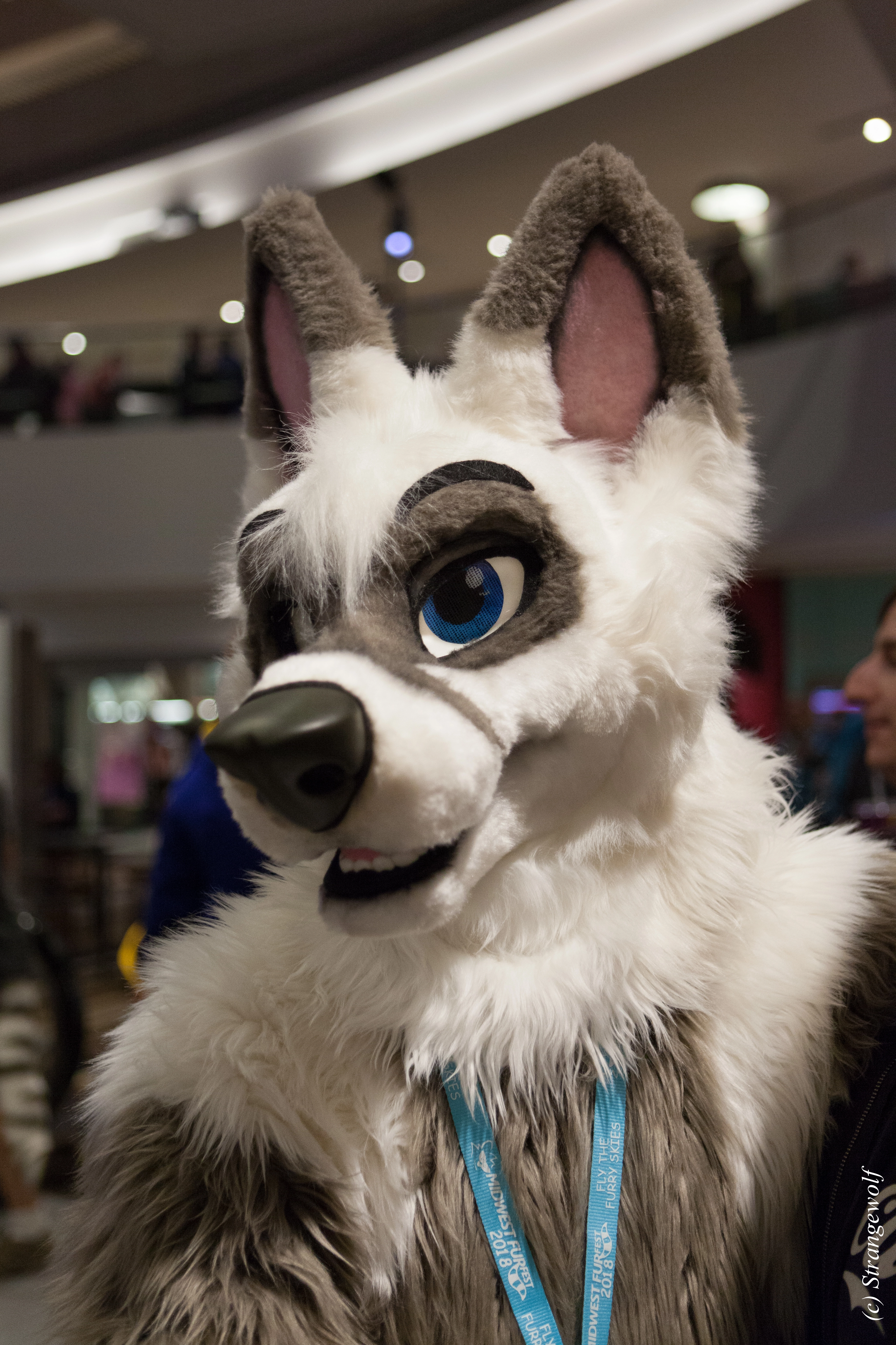 full image IMG_1751-lr.jpg
