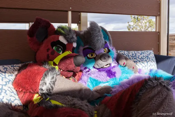 IMG_3081-lr19t.jpg of BLFC/2019/