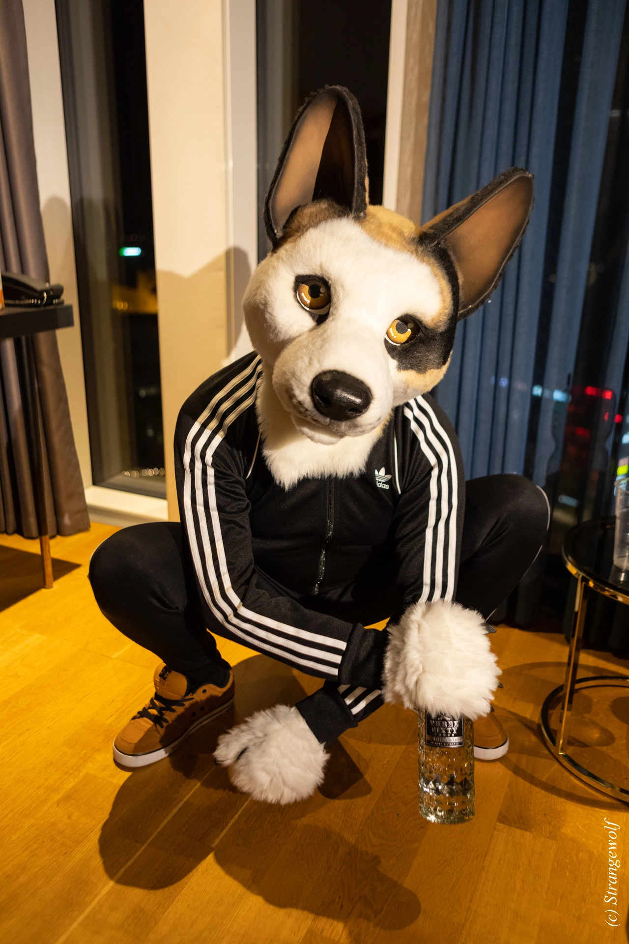 full image 1R3A9312-lr19t.jpg