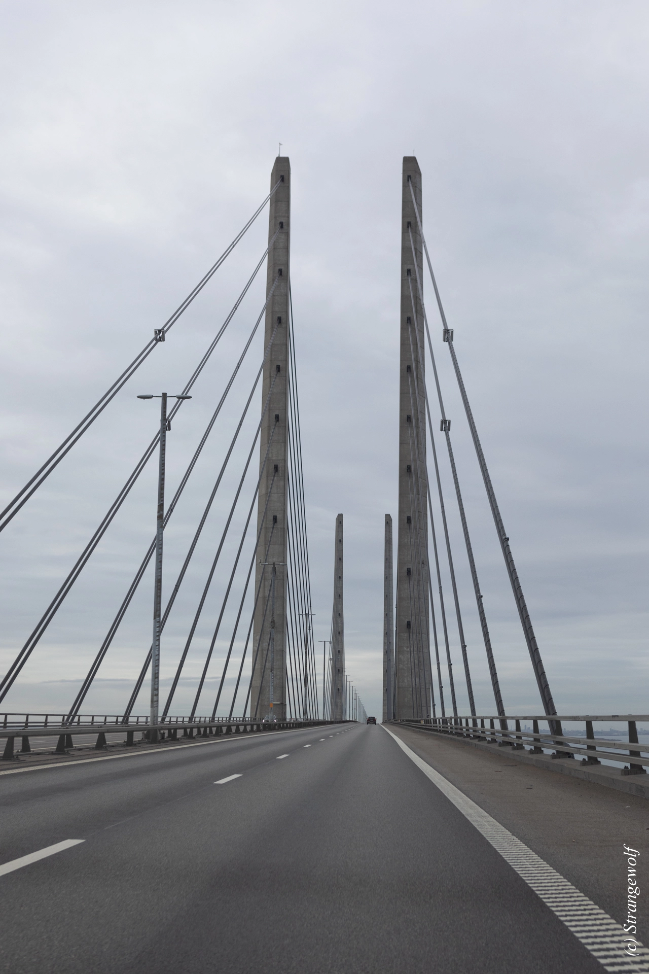 full image 1R3A0171-lr19t.jpg