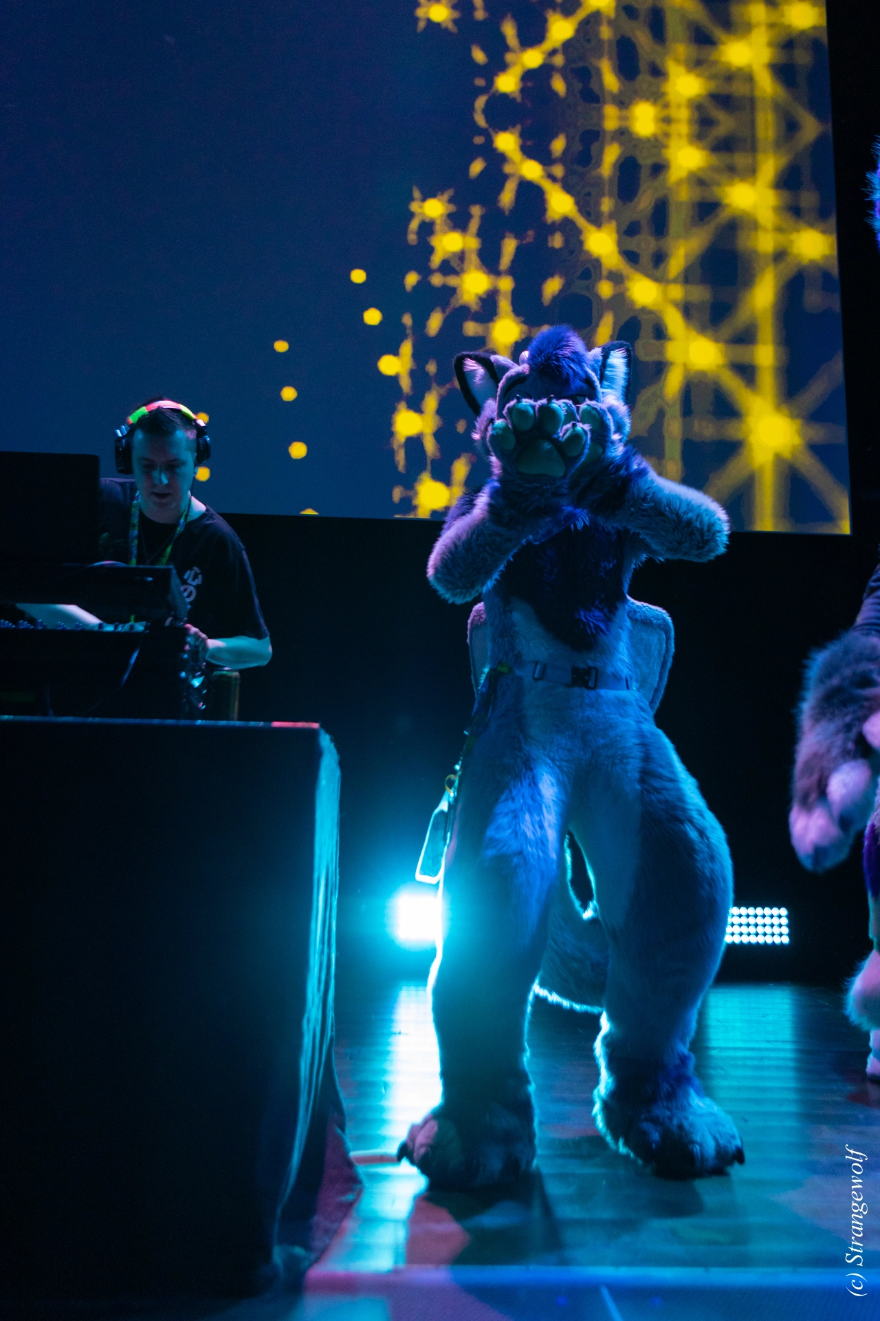 full image 1R3A9481-lr19t.jpg