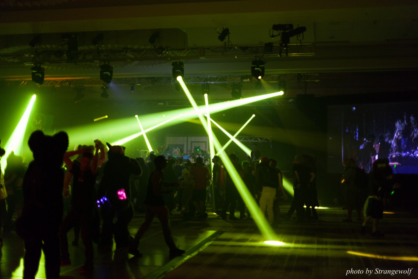 full image IMG_5950-lr16t.jpg